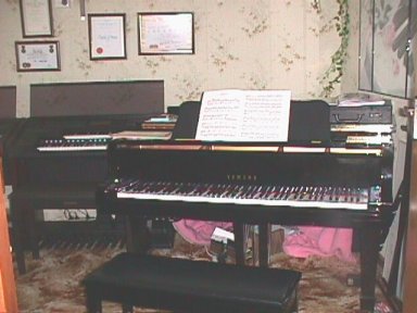 piano.jpg (24535 bytes)